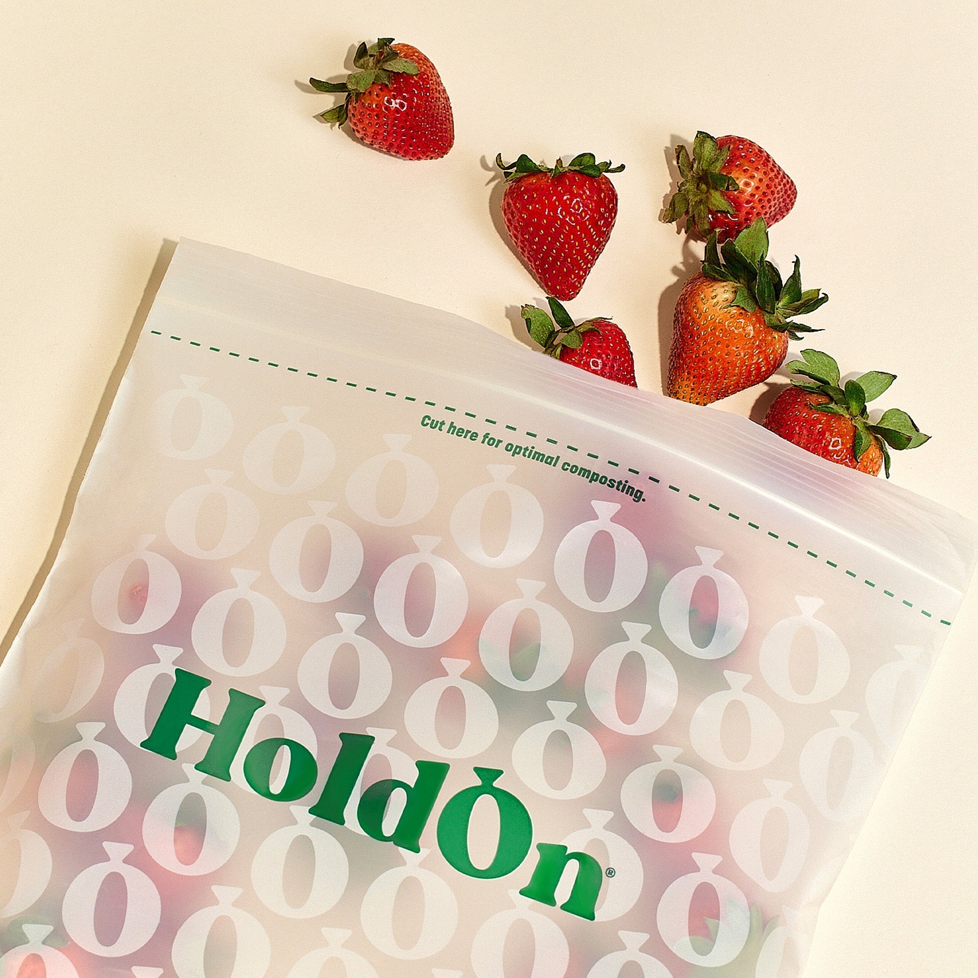 HoldOn Compostable Zipseal Gallon Bags - Purchase